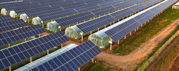 Photovoltaïque agricole